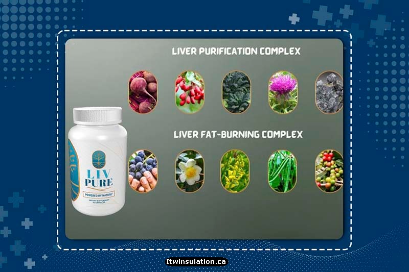 Liv Pure Ingredients